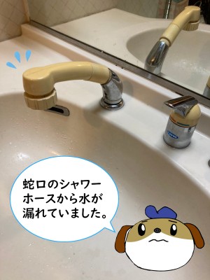 【画像】水漏れしていた蛇口の画像です。