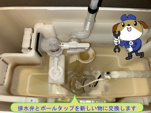 f9a088e3d08f6418990c6371719021275-e1747976326710