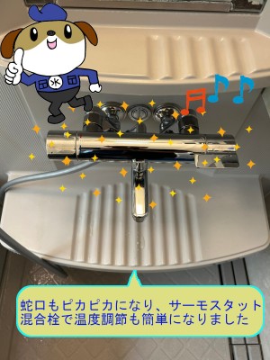 fc4d305e31c9f847ae35b3a1800103003-e1750470341854