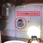 台所壁水漏れ修理　東京都立川市　K様邸