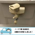 浴室蛇口交換工事　埼玉県春日部市　Y様邸